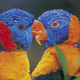 Illustration for article titled Drunk parrots are plummeting out of the sky in Australia